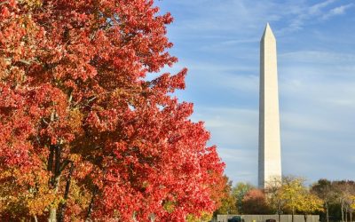 Top 10 US Cities To Visit In The Fall